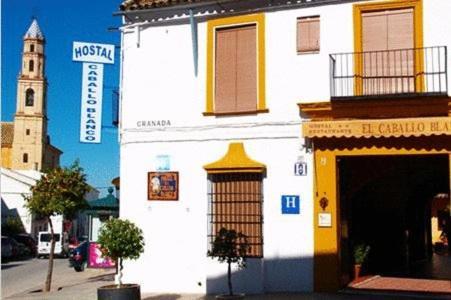 Hostal El Caballo Blanco โอซูนา ภายนอก รูปภาพ